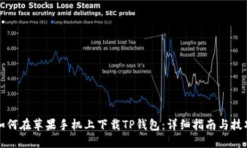 如何在苹果手机上下载TP钱包:详细指南与技巧