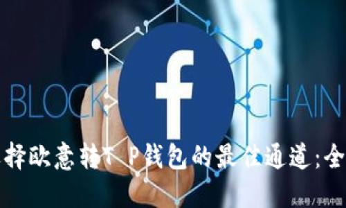如何选择欧意转T P钱包的最佳通道:全面指南