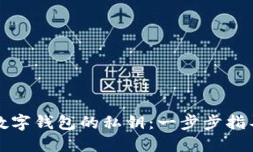 如何查看TP数字钱包的私钥:一步步指导与实用技巧