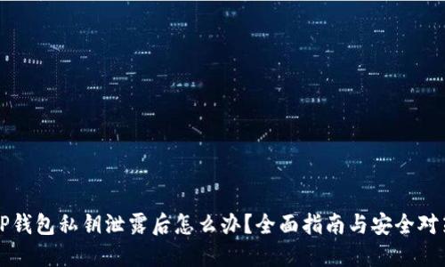 TP钱包私钥泄露后怎么办?全面指南与安全对策