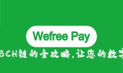 掌握T P钱包添加BCH链的全攻略，让您的