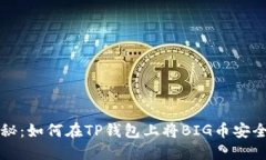详细揭秘：如何在TP钱包上将BIG币安全