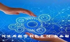大润发超市如何使用数字钱包支付：全