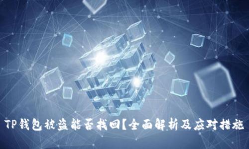 TP钱包被盗能否找回?全面解析及应对措施