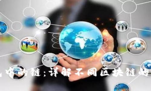 如何选择TP钱包中的链：详解不同区块链的优势与适用场景