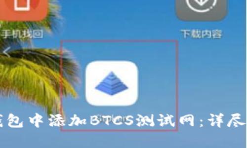 如何在TP钱包中添加BTCS测试网：详尽的步骤指南