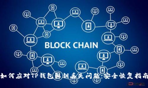 如何应对TP钱包私钥丢失问题:安全恢复指南