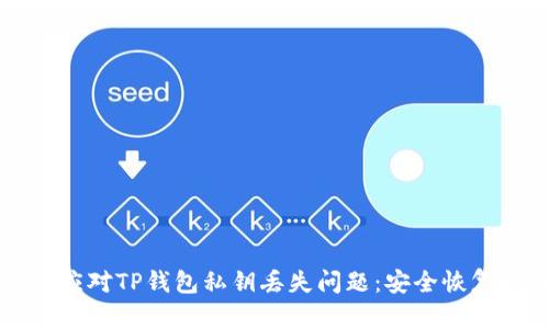 如何应对TP钱包私钥丢失问题:安全恢复指南