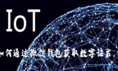 ibaoti全面解读：如何通过微信钱包获取