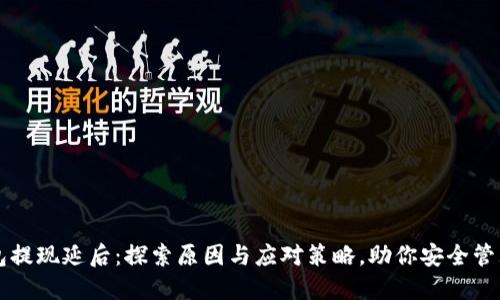 区块链钱包提现延后:探索原因与应对策略,助你安全管理数字资产