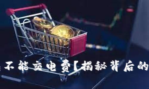 为什么数字钱包不能交电费?揭秘背后的原因与解决方案