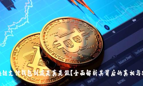: 区块链支付钱包到底是真是假？全面解析其背后的真相与安全性
