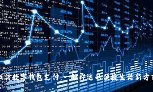 微信数字钱包支付:一触即达的便捷生活新方式