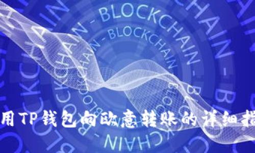 使用TP钱包向欧意转账的详细指南