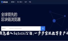 如何将TP钱包接入Satoshi公链：一步步实