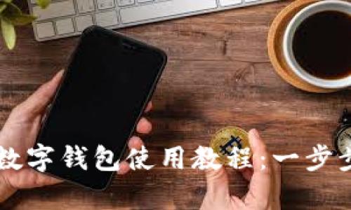 全面解析华为数字钱包使用教程：一步步教你轻松上手