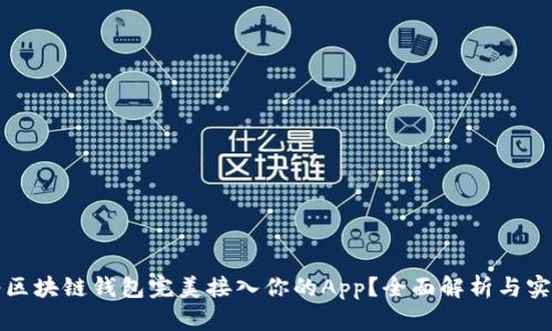 如何将区块链钱包完美接入你的App?全面解析与实践指南