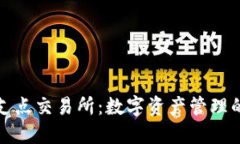 TP钱包与支点交易所：数字资产管理的