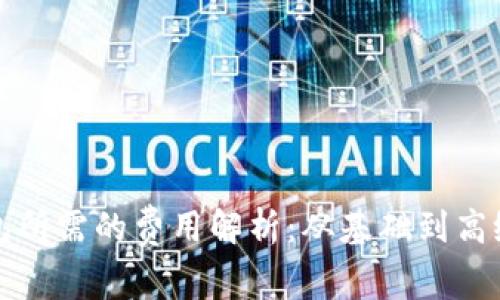 开发一个安全加密钱包所需的费用解析：从基础到高级功能你应了解的投资