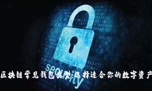 全面解析区块链常见钱包类型:选择适合你的数字资产存储方案