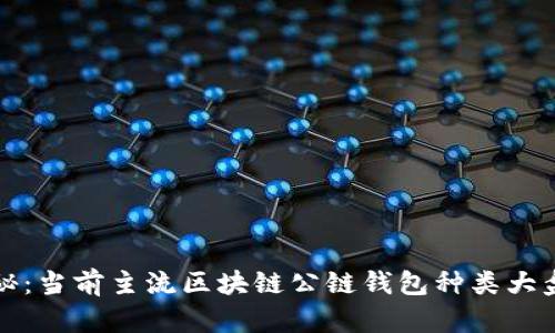 揭秘:当前主流区块链公链钱包种类大盘点