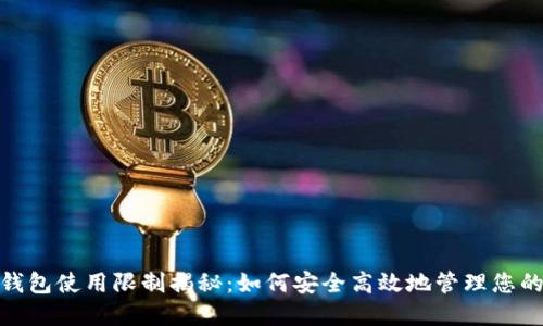 数字钱包使用限制揭秘:如何安全高效地管理您的资金