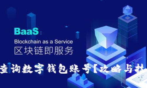 如何快速查询数字钱包账号?攻略与技巧大揭秘!