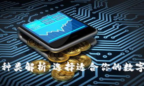 区块链钱包的种类解析:选择适合你的数字资产管理工具