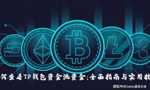 如何查看TP钱包资金池资金:全面指南与实用技巧