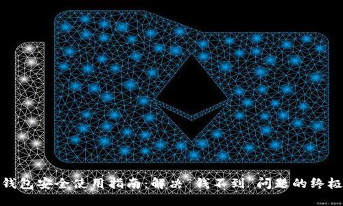 数字钱包安全使用指南:解决“钱不到”问题的终极揭秘