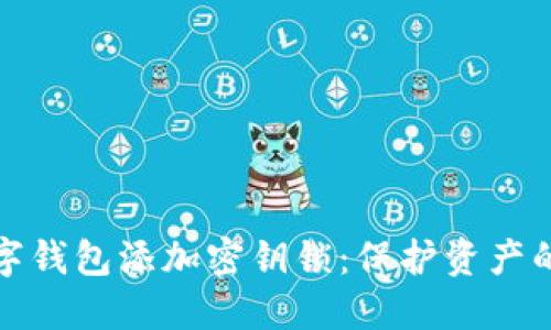 如何为您的数字钱包添加密钥锁：保护资产的完美解决方案