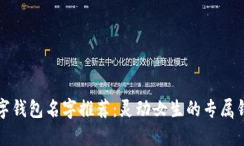 创意数字钱包名字推荐：灵动女生的专属钱包名称